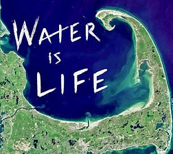 Screen Shot 2023-02-09 at 11.11_edited.j